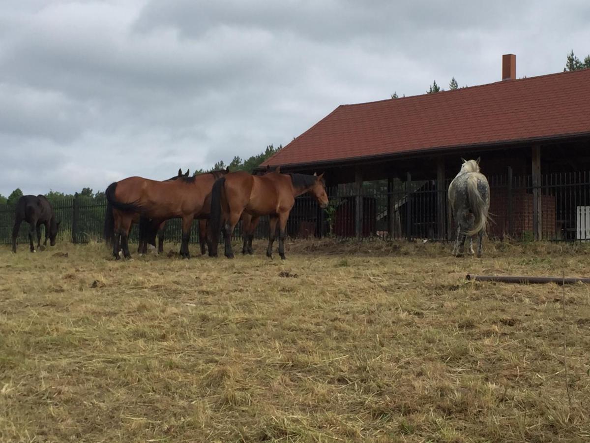 Camping Lesne Ustronie Hotell Witnica Eksteriør bilde