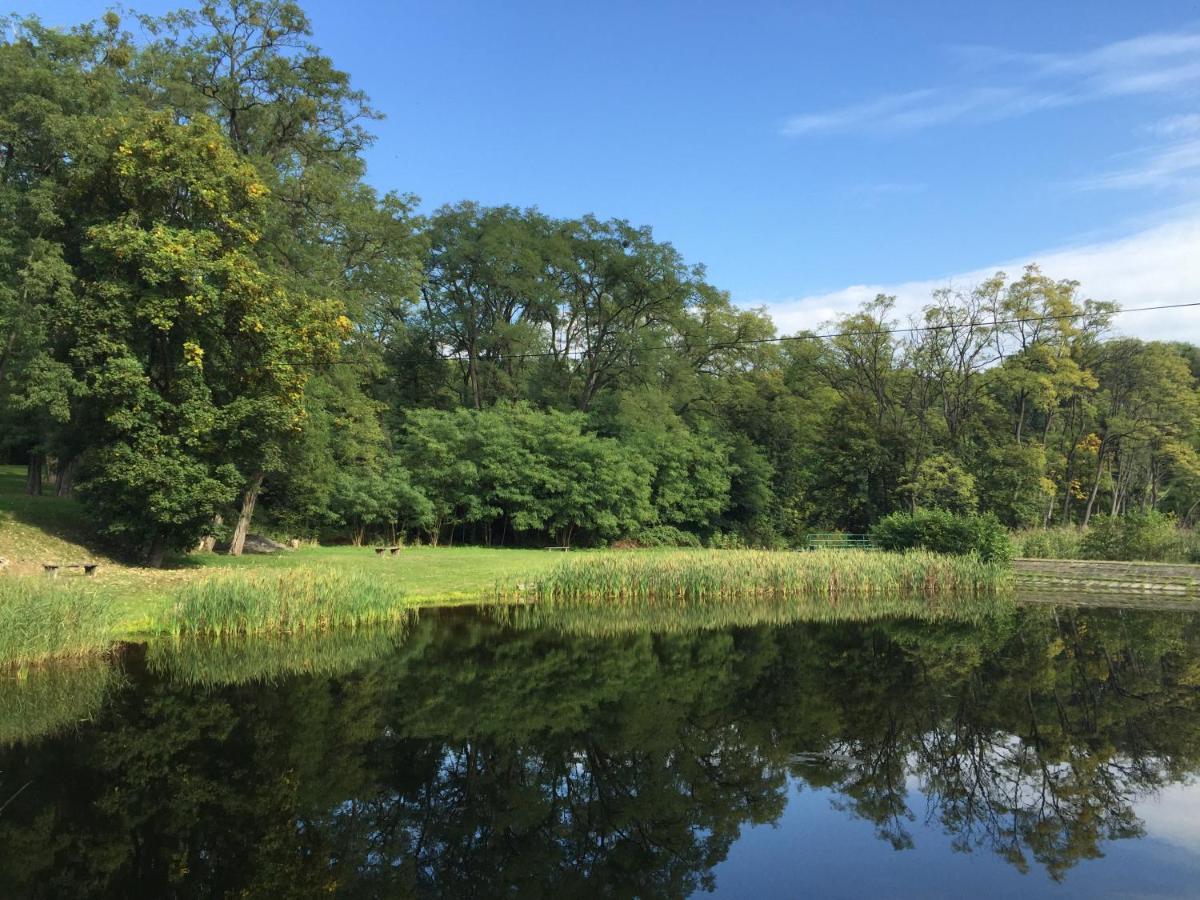 Camping Lesne Ustronie Hotell Witnica Eksteriør bilde